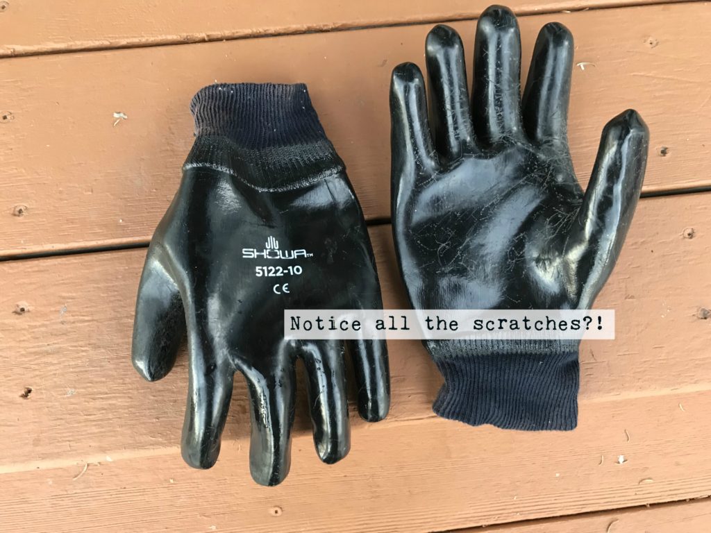 gloves to remove blackberry bushes