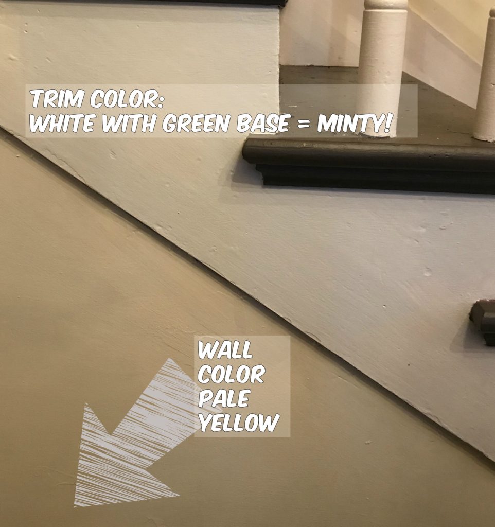 wall paint color