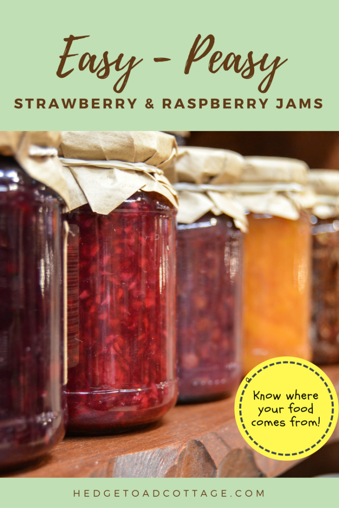 easy peasy jam making