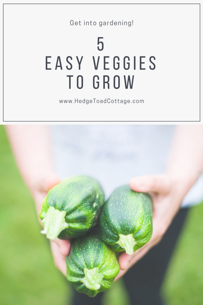 5 easy vegetables to grow