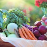 5 easy vegetables to grow