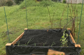 A raised garden bed with black weed block
