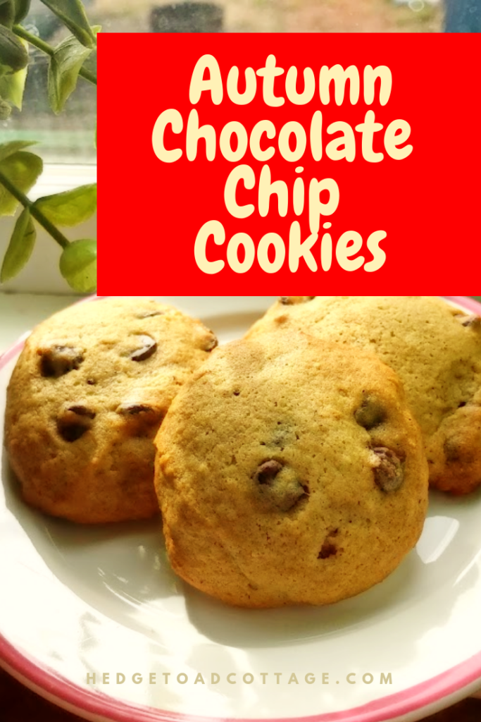 fall chocolate chip cookies recipe