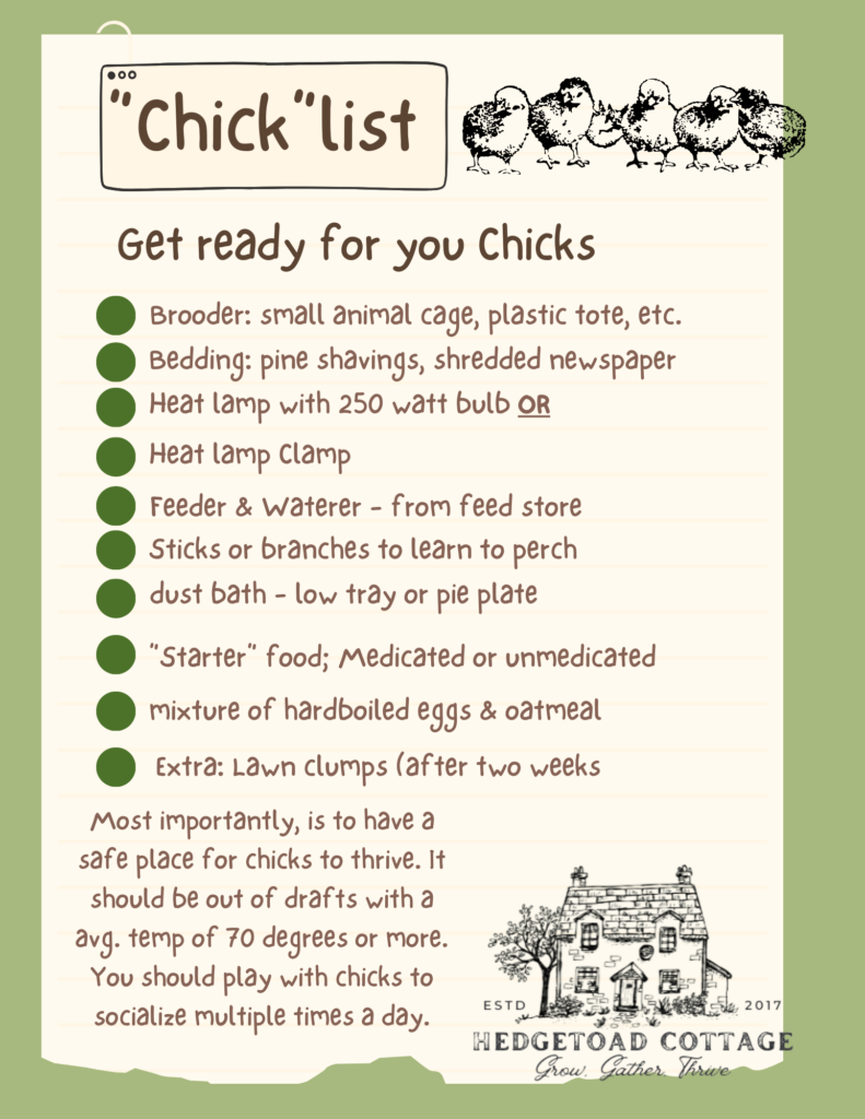 A List of items you need to raise your first flock of chickens.