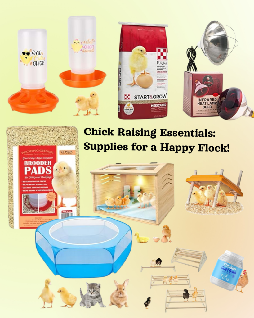 Items needed to raise chicks